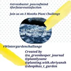 Here are the creators of the winter garden challenge. We started this event to make gardening a fun, shared learning experience for everyone involved, from beginners to experts.