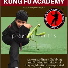 A poster highlighting our Praying Mantis style, featuring one of our young students. We teach the principles of this extraordinary technique to all age groups.