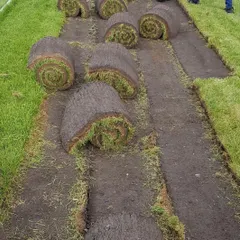 This image shows the process of laying out rolls of carpet grass. I ensure the seams are tight and the ground is properly prepared so the final result is a seamless, uniform lawn.