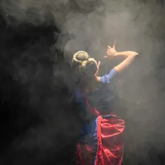 A throwback to a performance in the UK. The smoke and lighting create a mystical atmosphere, transforming the stage and highlighting the dancer's form. Every element of a production contributes to the story.