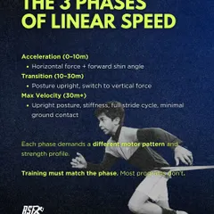 A sprint has three phases: Acceleration, Transition, and Max Velocity. Each phase demands a different motor pattern and strength profile. My training programs are designed to match the specific demands of each phase.