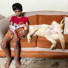 This is why I do what I do. Pepper, a graduate of my Board & Train program, relaxing peacefully with her young human. The family's goal was a calm companion who could be gentle with their child. My training programs are always personalized to your family's lifestyle, helping you raise the dog you've always dreamed of.