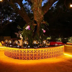 This unique buffet arrangement around a majestic tree is one of my signature setups for outdoor events. It combines natural beauty with functional design, creating a magical dining experience.