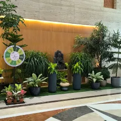 Celebrating World Environment Day at our Inorbit Mall outlet. We hosted a "Spin and Win" event to encourage sustainability and share the love of plants.