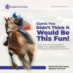 Think horse racing is just about speed? It's an entire experience of thrilling wagers, a stylish atmosphere, and unforgettable fun.