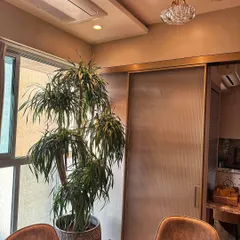 Tall indoor plants are essential for great home decor. This impressive plant adds striking visual interest and fills the vertical space by the window, making the room feel more balanced and thoughtfully designed.