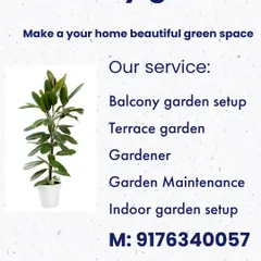We can help you start your own garden, whether it's on a balcony, terrace, or indoors. Our services cover everything from setup to ongoing maintenance.