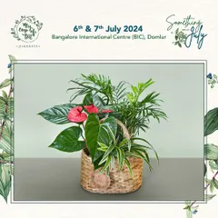 This beautiful plant basket, featuring an Anthurium and palms, was part of our display for the 'Something 'bout July' pop-up event. We love creating arrangements that are perfect for gifting.