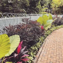 A cobblestone path is edged by a dense, layered planting of colorful foliage, including deep reds and bright greens. This demonstrates how we use hardscaped paths to define and structure garden beds.