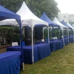 For exhibitions and trade shows, I can set up clean and professional stalls using pagoda tents or canopies. This setup in Greater Noida features a long row of stalls, each with its own table, ready for vendors.