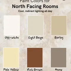 For North-facing rooms with cool, indirect light all day, I recommend warm, light-reflecting colors. Shades like Off-white, Light Beige, and Pale Yellow help to brighten the space and counteract the cool tones.