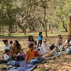 A happy gathering of families enjoying a story under the trees. These sessions are as much for the parents as they are for the kids, creating a wonderful community atmosphere where everyone can relax and connect.