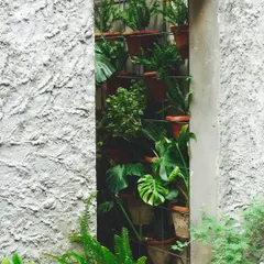 A view through a slit window in a textured wall, revealing a vertical garden. We find opportunities to integrate greenery in unexpected ways, adding life and texture to our designs.