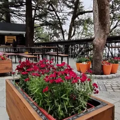 The newly created community space at Woodstock, complete with a small cafe kiosk and planters made from local materials. Our placemaking philosophy is to create invisible designs that blend seamlessly and are loved by all.