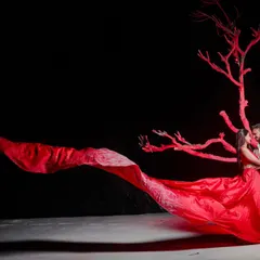 For our pre-wedding shoots, we create magic. This shot uses a dramatic red fabric against a dark backdrop to create a powerful, artistic image that tells a story of passion and connection. It’s a perfect example of our creative pre-wedding photography.