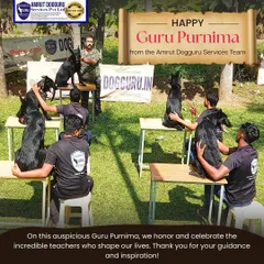 On Guru Purnima, I am reminded that while I guide my students, the dogs are the greatest teachers. This image captures the spirit of learning and respect that defines our training sessions.