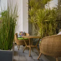 Your new favorite corner. This cozy balcony is furnished with natural wicker chairs and surrounded by tall, vibrant plants, creating a private, breezy spot to enjoy a morning coffee or a golden sunset.