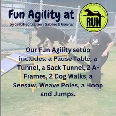 Our course is packed with a variety of obstacles to keep things interesting. This includes a pause table, tunnel, two A-frames, two dog walks, a seesaw, weave poles, a hoop, and jumps.