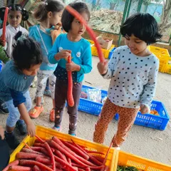 Children explore fresh carrots during a visit to a local market. This trip is a practical lesson in where our food comes from, engaging all their senses.