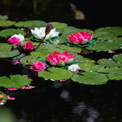 Floating lotuses and rose petals in a water feature. This is a simple yet beautiful way I add elegance and tranquility to the event space, creating serene spots for guests to enjoy.