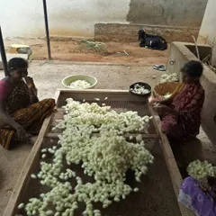 Local women in a Karnataka village sorting silk cocoons. Taking the time to see this firsthand is what makes our trips more than just a trek.