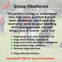 Here are the key details for joining a group class. We welcome dogs over 4 months old who have their basic shots. It's a great setting for nervous dogs to build confidence, but for safety, we cannot accept dogs with a bite history.