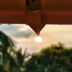 A perfect alignment of nature. This perspective shot captures the rising sun perfectly inside a water droplet, making it look like a glowing lightbulb. It's all about finding the magic in small details.