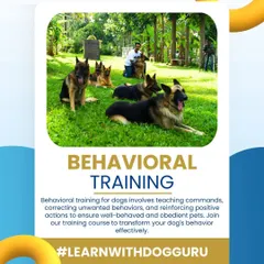 This graphic illustrates how my behavioral training program corrects unwanted actions like jumping and barking, reinforcing positive behaviors to ensure a well-behaved pet.