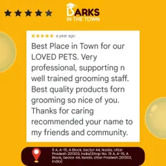 This 5-star review praises my store as the "Best Place in Town" for pets. The client highlights the professional, supportive, and well-trained grooming staff and the quality of products used.