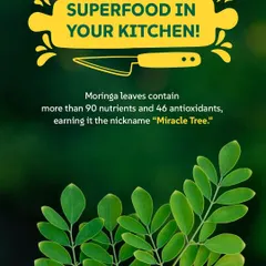 Did you know Moringa is called the "Miracle Tree"? This graphic highlights the benefits of this superfood, which contains over 90 nutrients and 46 antioxidants. We use ingredients like moringa not because they are trendy, but because they are a core part of traditional Indian food wisdom.