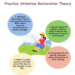 Ever heard of the Attention Restoration Theory? It explains how spending time in nature improves concentration and mental strength. My nature-based workshops are built on principles like this to help you rejuvenate.