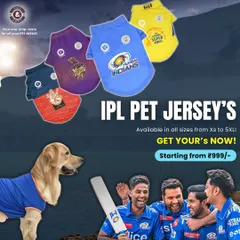 Let your pet show their team spirit! I've got these awesome IPL-inspired pet jerseys so your furry friend can be part of the cricket action. They are available in all sizes from XS to 5XL, because every fan deserves to cheer in style.