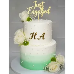 This two-tier engagement cake features a beautiful mint green ombre design. To satisfy different tastes, the bottom tier is fresh pineapple and the top is choco-vanilla, all 100% eggless and homemade.