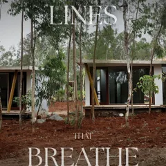 Lines that breathe. The minimalist cottages of the resort are nestled amongst existing trees, with clean architectural lines that contrast beautifully with the organic forms of the forest.