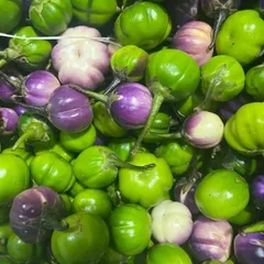 A mix of small, round eggplants, including green and purple varieties. These are perfect for adding to stews, curries, or roasting for chutneys.