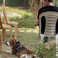 Just chilling! Your pet can find their own comfy spot to relax while you unwind. We've designed our space to be a stress-free zone for everyone, including our four-legged guests.