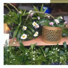 A close-up of our floral decor integrated into the buffet. We use a mix of fresh greens and delicate white and pink flowers to add a natural and beautiful element to the food display.