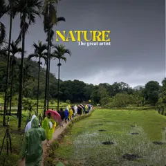 Nature is the greatest artist. A group walks through a paddy field on a rainy day, a simple yet beautiful moment.
