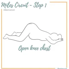 The first step of the Miles Circuit is the open-knee-chest position. This pose uses gravity to create space in your pelvis, encouraging the baby to rotate and engage.