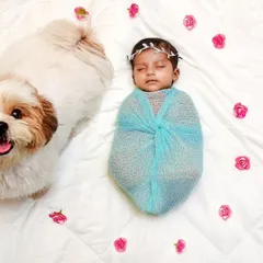 An adorable overhead shot of a sleeping newborn swaddled in blue, with their happy Shih Tzu sibling looking up at the camera.