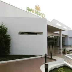 For this modern food court, we employed a minimalist landscape strategy. The design uses clean lines, small lawn sections, and strategically placed trees to complement the building's architecture without overwhelming the space.