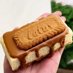 A handheld shot of my Biscoff baked cheesecake slice. It's the perfect single serving of creamy, crunchy, caramelized goodness.