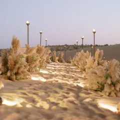 The pathway to a party in the middle of the Thar desert. We lined the sandy entrance with pampas grass and soft lighting, creating a magical walkway that led guests to an unforgettable welcome dinner under the stars.