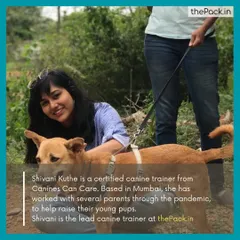 Canine enrichment is a core part of my training philosophy. This graphic promotes an online workshop I co-hosted, teaching pet parents how to create DIY puzzle toys and games from household items to keep their dogs mentally stimulated.