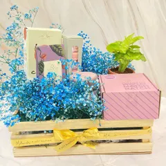 A beautiful Mother's Day hamper featuring a wooden crate filled with blue baby's breath, a live plant, and gourmet treats. A perfect way to show your love and appreciation.