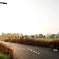 The road at our BTM Meadows project is lined with native ornamental grasses that catch the warm light of sunrise. This soft landscaping approach helps to blend the infrastructure seamlessly into the surrounding natural environment.