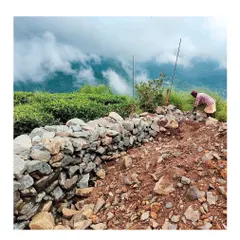 A craftsman builds a retaining wall using stone excavated directly from the project site. This practice of using local materials is central to my philosophy, ensuring the built structure is literally and figuratively grounded in its environment.