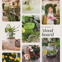 Our mood board, featuring all the things we love: lush plants, refreshing drinks, beautiful decor, and of course, our adorable dog mascot enjoying the sun.