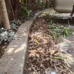 A pile of cleared leaves and garden waste during a maintenance visit. A clean garden is a healthy garden, as it improves air circulation and reduces pests.