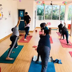 A typical class in session, with students moving through different asanas of the Primary Series. I move around the room to offer guidance.